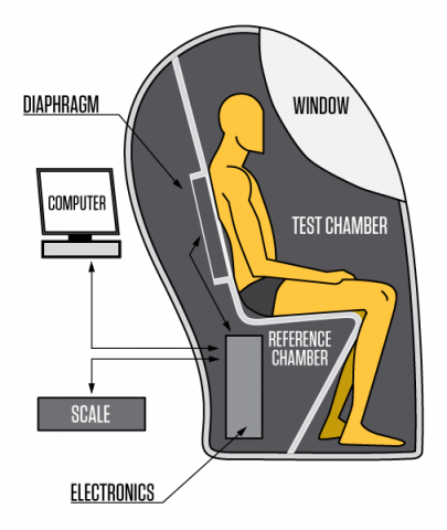 Bod Pod measurement