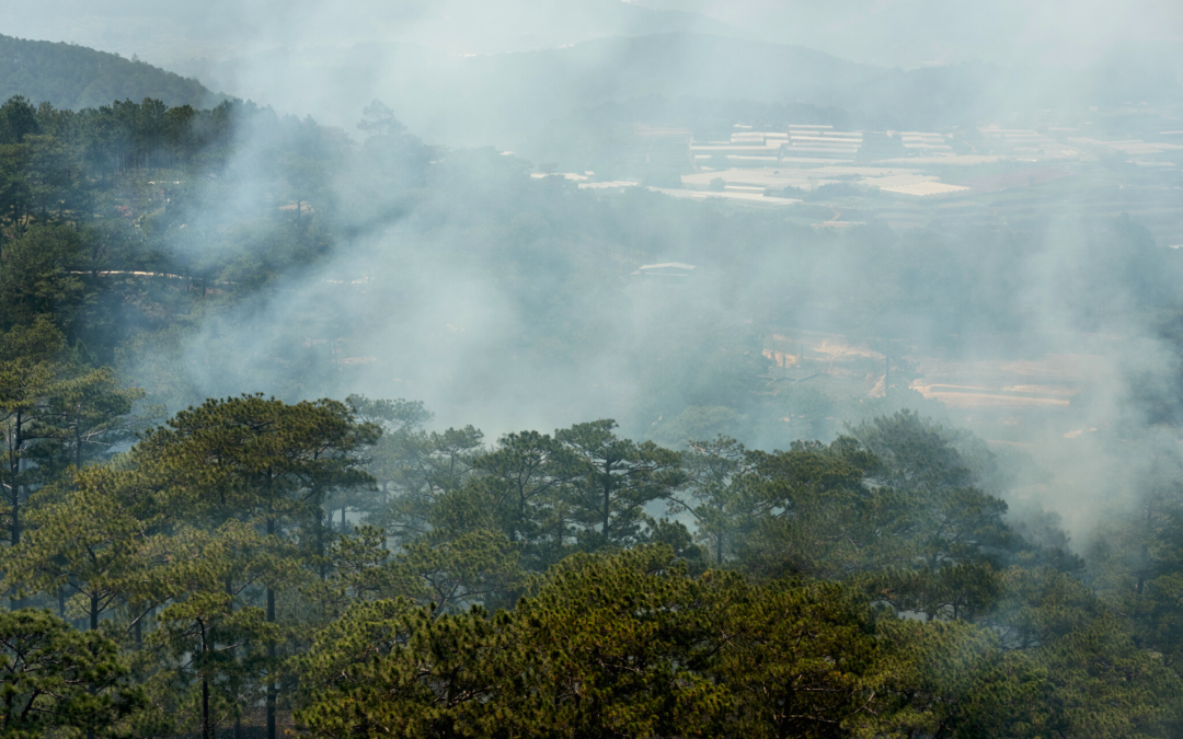 Wildfire Smoke: Tips for Protecting Your Health from Poor Air Quality