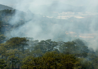 Wildfire Smoke: Tips for Protecting Your Health from Poor Air Quality